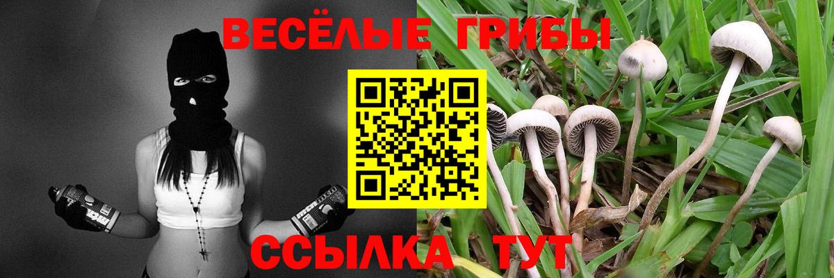 Камень-на-Оби  Псилоцибиновые грибы мухоморы  Вход с VPN 